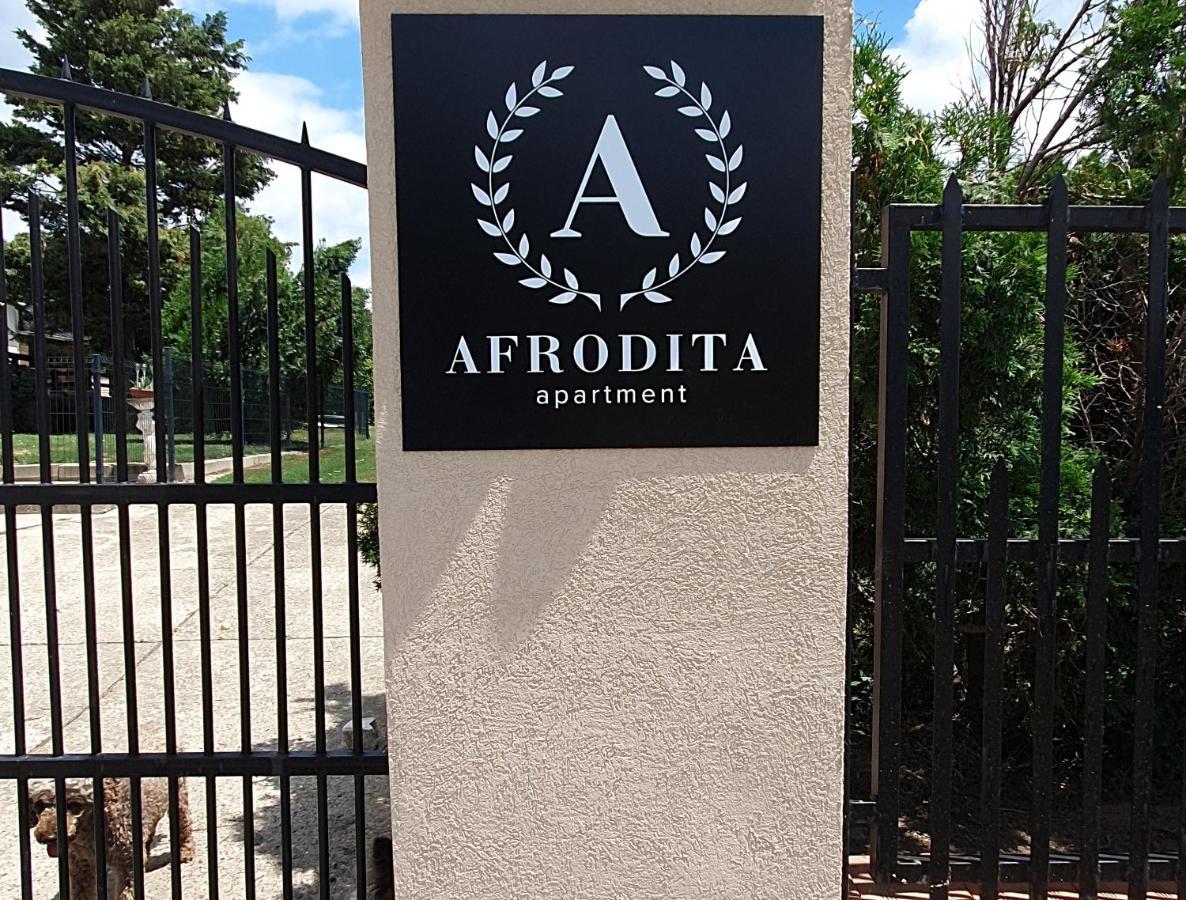 Afrodita Apartment Vrdnik Exterior photo